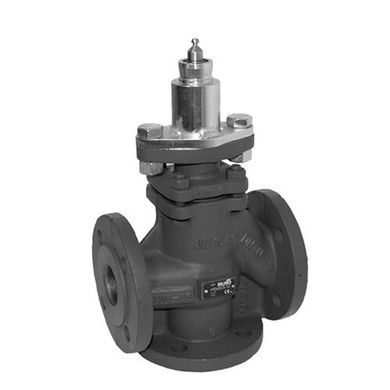 Poppet valve H7080X100-S4